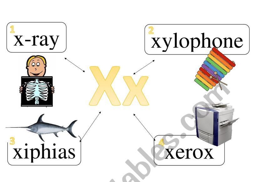 ALPHABET WITH WORDS [X --- Z] worksheet